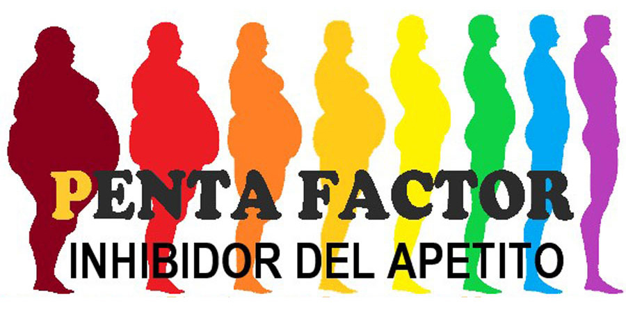 Nueva Nutricion saludable